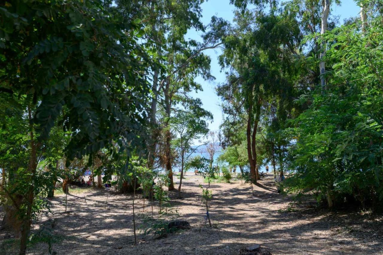 Pearl By The Sea Apartment Preveza Bagian luar foto